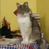 Отзыв от Катюша Ананьева
